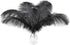 12pcs Natural Black Ostrich Feathers 12-14inch (30-35cm) for Wedding Party Centerpieces?Flower Arrangement and Home Decoration....