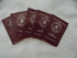 Cinnamon Spice Powder Packets - Veteran Owned On the Go Packs for Coffee, Tea, or Apple Cider Vinegar (Cinnamon, 100 Packets)...