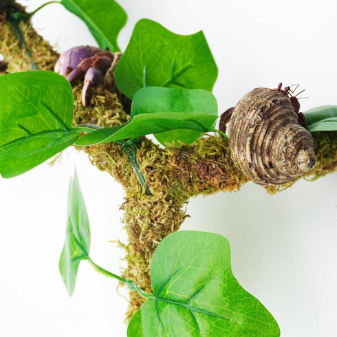 12 Inch Hermit Crab Climbing Toys Entwined with Artificial Vines, Ideal Hermit Crab Habitat Tank Accessories...