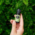 Edens Garden Celery Seed Essential Oil, 100% Pure Therapeutic Grade (Undiluted Natural/Homeopathic Aromatherapy Scented Essential Oil Singles) 10 ...