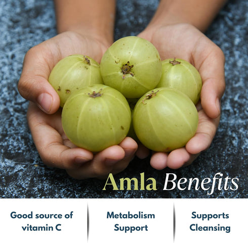 Amla Capsules (Phyllanthus Emblica) – Amalaki amla 120 Capsules | Natural Antioxidants Superfood | Herbal Supplement Made with Organic Amla Fruit ...