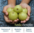 Amla Capsules (Phyllanthus Emblica) – Amalaki amla 120 Capsules | Natural Antioxidants Superfood | Herbal Supplement Made with Organic Amla Fruit ...