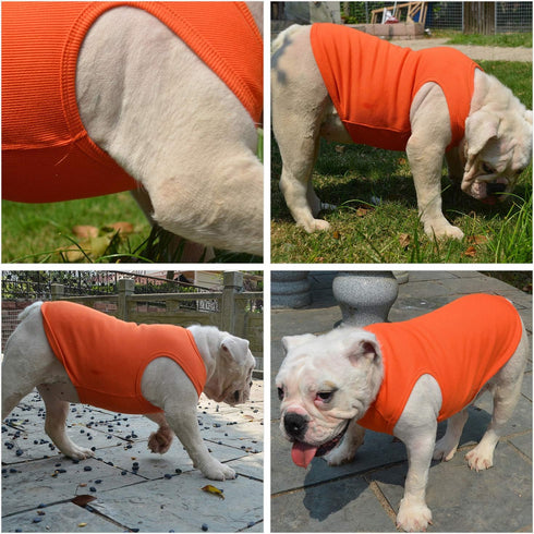 Lovelonglong 2019 Summer Pet Clothing, Dog Clothes Blank T-Shirts Ribbed Tanks Top Thread Vests for Large Medium Small Dogs 100% Cotton Orange S...
