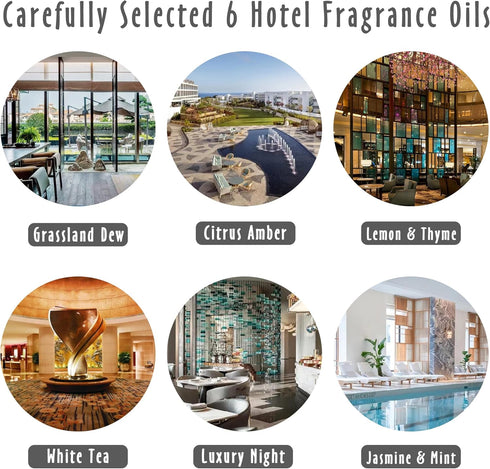 Fragrance Oils, MitFlor Hotel Collection Diffuser Oil for Home, Soap & Candle Making Scents, Aromatherapy Essential Oils Set 6x10ml, Lemon & Thyme...
