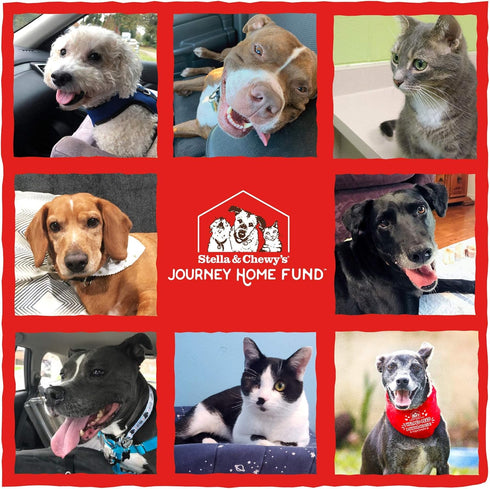 Stella & Chewy's Freeze Dried Raw Chewy’s Chicken Meal Mixers – Dog Food Topper for Small & Large Breeds – Grain Free, Protein Rich Recipe – 3.5 o...