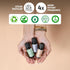 Folkulture Essential Oils for Diffuser for Home, Set of 6 Essential Oils Set, Essential Oils for Candle Making, Summer Essential Oils for Soap Mak...