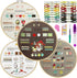 Cyanfour 4 Stage Embroidery Kit for Beginners Adults, Easy to Learn 38 Different Stitches from Instruction & Video, Needlepoint Kits for Adults wi...