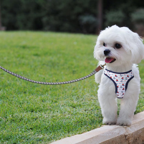 Mile High Life Heavy Duty Dog Leash with Metal Sturdy Clasp and Genuine Leather Connection, Strong Dog Rope Leash for Medium and Large Dogs, Puppy...