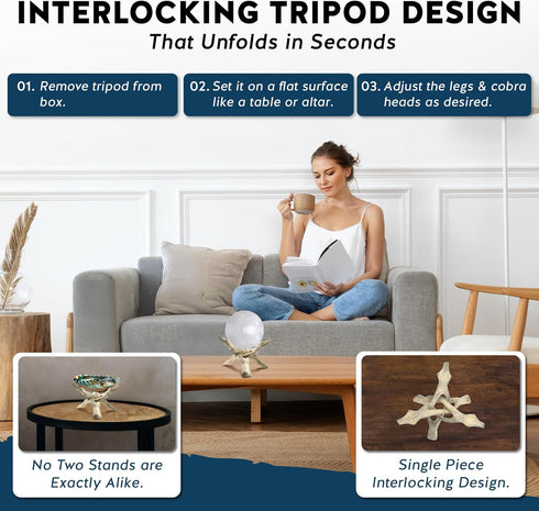 Alternative Imagination Wooden Tripod Display Stand - 6-Inch Hand Carved Holder Made from Mango Wood -Folding Natural Stand for Abalone Shell, Cry...