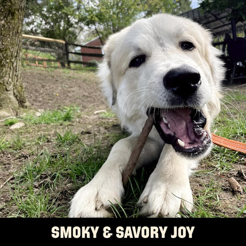 Barkworthies USA Hickory Smoked Beef Stick Dog Treats 15-Pack - Amazing Aroma, Great Taste - All Natural Smoked Crunchy Dog Treats - Puppy & Dog T...