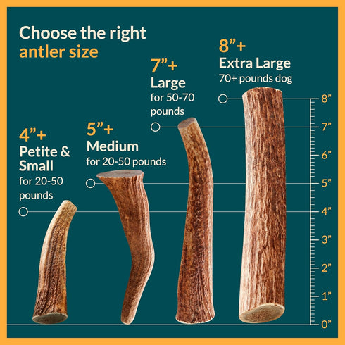 Split Medium Elk Antler for Dogs - Dog Antler Chews for Medium Breeds - Natural, Long-Lasting Treats for Aggressive Chewers - Naturally Shed in US...