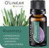 O'linear Rosemary Essential Oil 10 ml - Pure Rosemary Oil for Diffuser for Home Aromatherapy - 0.33 Fl Oz Therapeutic Grade Natural Rosemary Oil f...