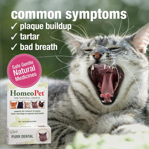HomeoPet Feline Purr Dental, Dental Care for Cats, 15 Milliliters...