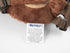 2 in 1 New Monkey Toddler Safety Harness Backpack Children's Walking Leash Strap?Brown?...