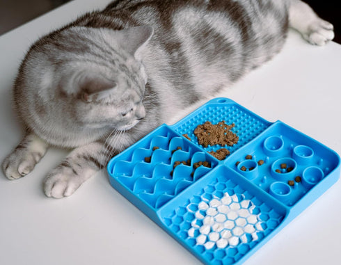 2-1 Slow Feeder Cat Bowl and Cat Lick Mat - Heavy Duty 2024 Cat Slow Feeder Bowl & Cat Licking Mat - Premium Slow Feeder for Cats and Kittens for ...
