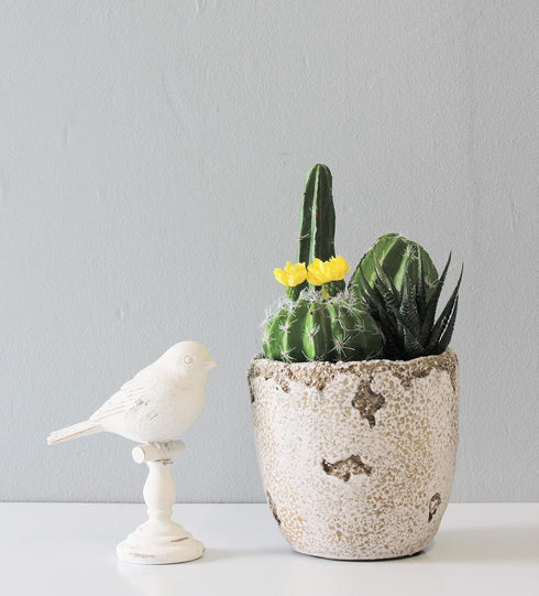 Distressed Weathered Cement Planter, 5 Inches - Unique Stone Plant Pot for Indoor Outdoor Home Garden Decor...