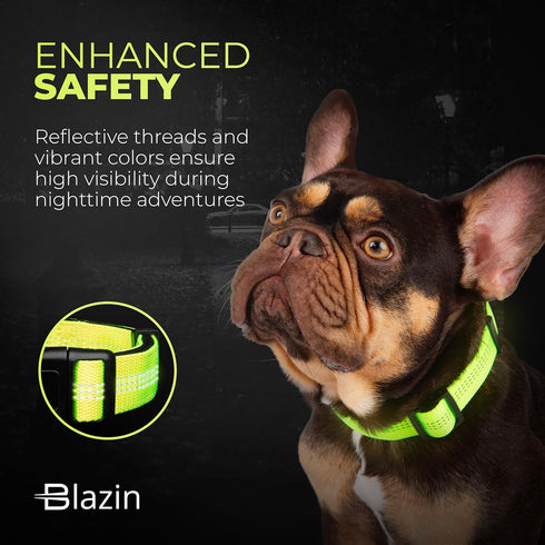 BLAZIN 'Color Me Happy!' Reflective Dog Collar for Day and Night - Adjustable Soft Neoprene Padded Dog Collar in 4 Vibrant Colors - Keeps Dogs Saf...