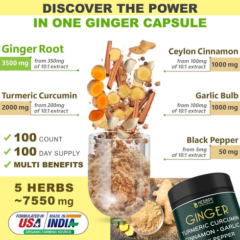 5in1 Ginger Supplement 7550mg with Ceylon Cinnamon, Turmeric Curcumin Root, Garlic Bulb & Black Pepper - Support Digestion, Immune & Heart Health ...