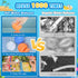 Reusable Water Balloons, 12 Pcs Refillable Silicone Water Balloons Summer Toy Water Toy for Boys and Girls Outdoor Beach Water Games Toys Self Sea...