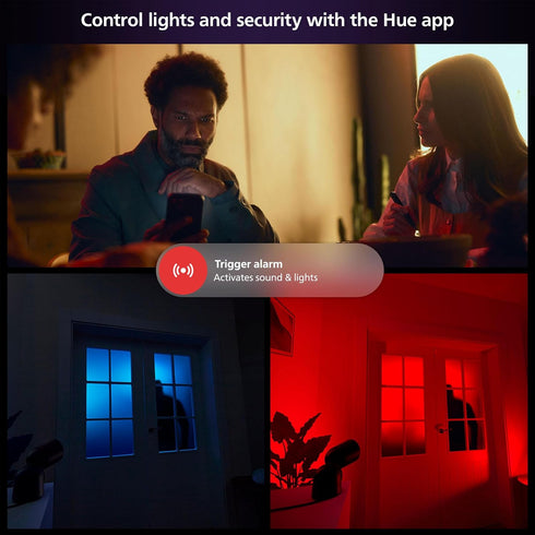 Philips Hue Secure Camera Anti-Drop Cable, Silver - 1 Pack - Made for Outdoor Use - Attaches to Philips Hue Low-Volt Power Supply Unit...