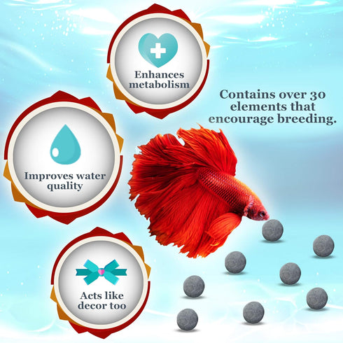 JOR Betta Calcium-rich Energy Balls, Water Conditioner Gray Beads for Crystal Clear Water, Vibrant Energetic Fish, Stabilizes pH, Aquarium Tank De...
