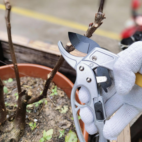 Fruit tree gardening scissors Pruning Shears for Gardening Garden Hand Shears Professional Bypass Pruner Hand Shears Heavy Duty Pruners for Garden...