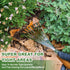 Garden Hand Rake, 14.6'' Small Hand Rake for Tight Areas, 9 Tines Stainless Steel Garden Rake with Ergonomic Wood Handle for Clearing Leaves and L...