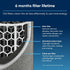 BLUEAIR Genuine Filter for Blue Pure 511 Air Purifier...