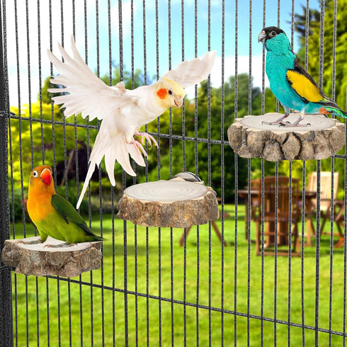 3PCS Bird Perch Natural Round Wooden Platform Parrot Perch Standing Branch for Chewing Exercise, Bird Stand Perch Swing Toys Cage Accessories for ...