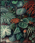 Posterizer 1 pcs-botanical illustration of a variaty of plants-educational art 6-Floral & Botanical Art Gift for Men Women Entrepreneur Teens Dec...