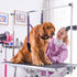 Dog Grooming Belly Strap - Dog Grooming Table Arm Extender with Clamp Extension Loop Bathing Restraint Leash No Sit Haunch Holder for Small & Medi...