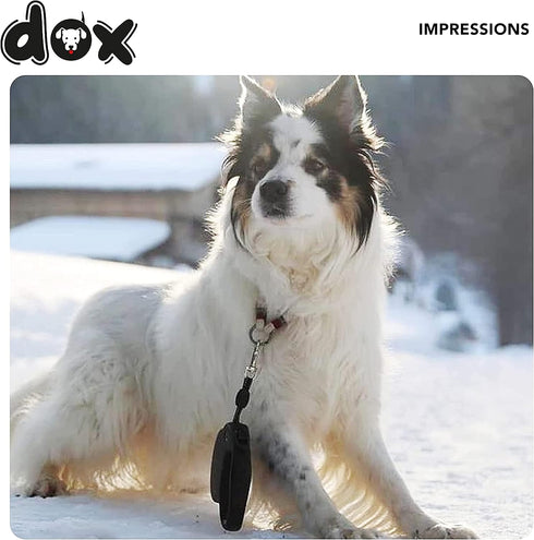 DDOXX Retractable Dog Leash - Strong Reflective Nylon Strips with Break & Lock System - S (Black/Yellow Reflective)...