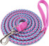 6ft Small Dog Leash, Reflective Dog Leash, Lightweight Nylon Rope Braided Dog Training Leash Walking Cute Puppy Dog Lead (1/3", pink dog lead)...