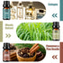 Essential Oils Set, Men Scents Fragrance Oil Essential Oils for Diffuser | Sandalwood, Teakwood, Sweet Tobacco, Cinnamon & Pine Needle, Woody Veti...