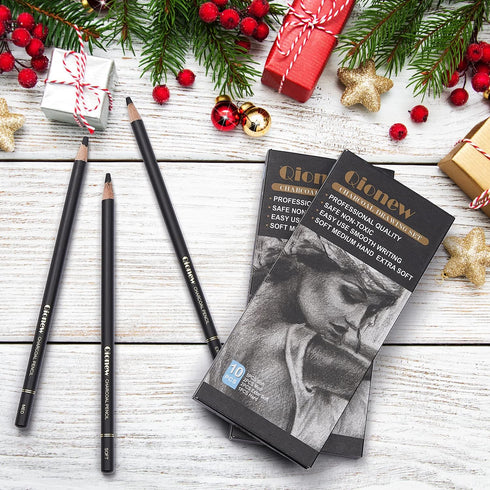 Professional Charcoal Pencils Drawing Set - 10 Pieces Super Soft, Soft, Medium & Hard Charcoal Pencils for Drawing, Sketching, Shading, Beginners ...
