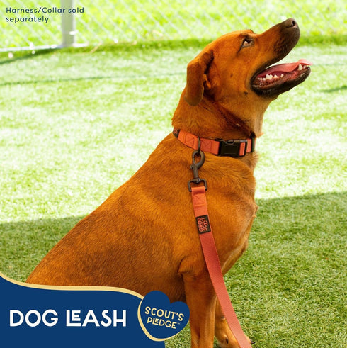 5' Heavy Duty Dog Leash for Large Dogs, Durable Walking & Training Leash for Puppies & Adult Dogs, D-Ring for Waste Bag Storage, Brick...