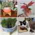 2PCS Wood Plant Stand Indoor Mid Century Plant Stands Mid Century Modern Planter Stand Rattan Flower Pot Stand for House Plant, Home Decor, Outdoo...