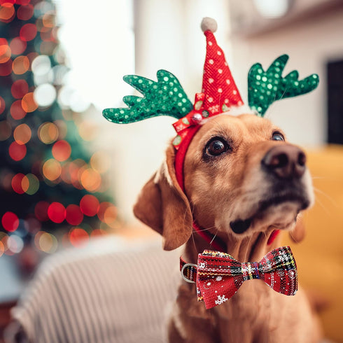 2 Pack Christmas Dog Collar with Bow Tie, Holiday Buffalo Snowflake Collar for Small Medium Large Dogs Cats Pets Puppies (Large-(16-27") Neck * 1"...
