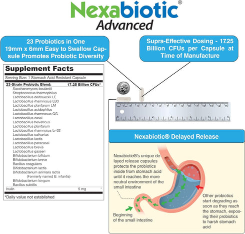 DrFormulas' Best Probiotics for Women & Men | Nexabiotic Multi Probiotic with Saccharomyces Boulardii, Lactobacillus Acidophilus, B. infantis, Pre...