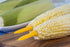 Fox Run 5398 Jumbo Corn Holders, Stainless Steel and Plastic, Set of 8...