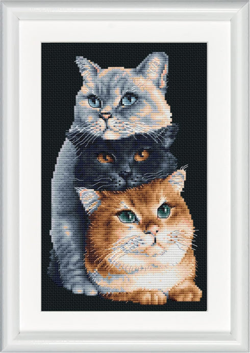 Dutch Stitch Brothers - Counted Cross Stitch Kit - DSB015 - Three Cats - Black Aida - 10.2 x 7.1 Inch - DIY for Adults......