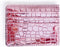 Super Shiny Slim Credit Card Holder Mini Front Pocket Wallet in Mirror Metallic Faux Crocodile pattern (Metalic Pink)...
