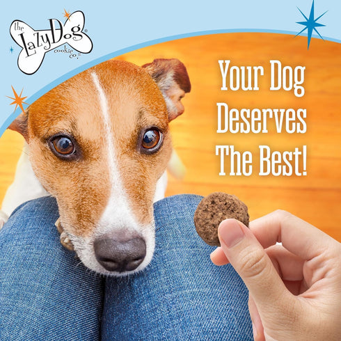 The Lazy Dog Cookie Co. Soft Dog Treats, Mutt Mallows My Little Pumpkin, for Small, Medium and Large Dogs, Wheat-Free, Baked in The USA, 5 oz. (Pa...
