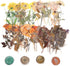 160pcs Pressed Flower Themed Stickers Dried Flowers Stickers Scrapbook Stickers for Making Junk Journal Card Making DIY Crafts...