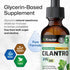 BIO KRAUTER Cilantro Supplement - Rich Source of Antioxidants - Natural Cleansing & Detox Cilantro Tincture - Vegan, Alcohol Free Drops 2 Fl. Oz....