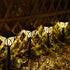 KAQ 2 Pack LED Solar Lights Outdoor Waterproof, Solar Garden Lights Auto On/Off, Outside Lights for Yard, Patio Decor, Landscape Lighting, Pathway...
