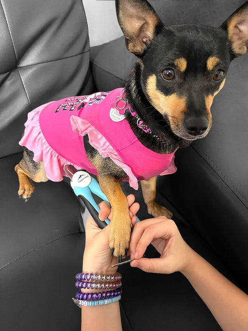 TheStone- Dog & Cat Pets Nail Clippers and Trimmers - Safety Guard to Prevent Over Cutting, Free Nail File - Nail Clipper Comes with Sharp Blade a...