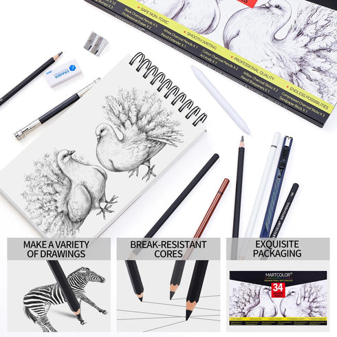 Drawing Sketching Pencils Set, 34 Pieces Pro Art Pencil Kit - Graphite Pencils (14B-4H), Charcoal Pencils, Charcoal Sticks, Artist Pencils for Beg...