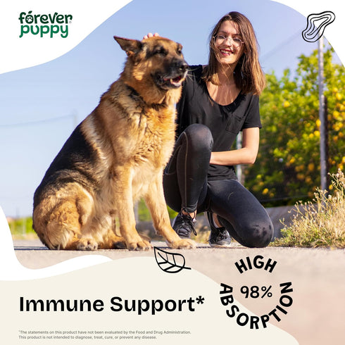 Astragalus Root for Dogs - Immune Support for Dogs w/Astragalus Root - Pet Supplements for Immunity w/Astragalus Liquid Extract - Herbal Dog Immun...