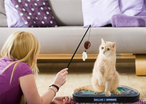 Cat Feather Toy NFL DALLAS COWBOYS FOOTBALL FIELD CAT SCRATCHER TOY with CATNIP Filled Plush FOOTBALL Toy & Feather Cat Toy hanging, with Jingle B...